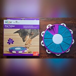 Outward Hound Purple and Teal Dog Puzzle Toy, Level 3